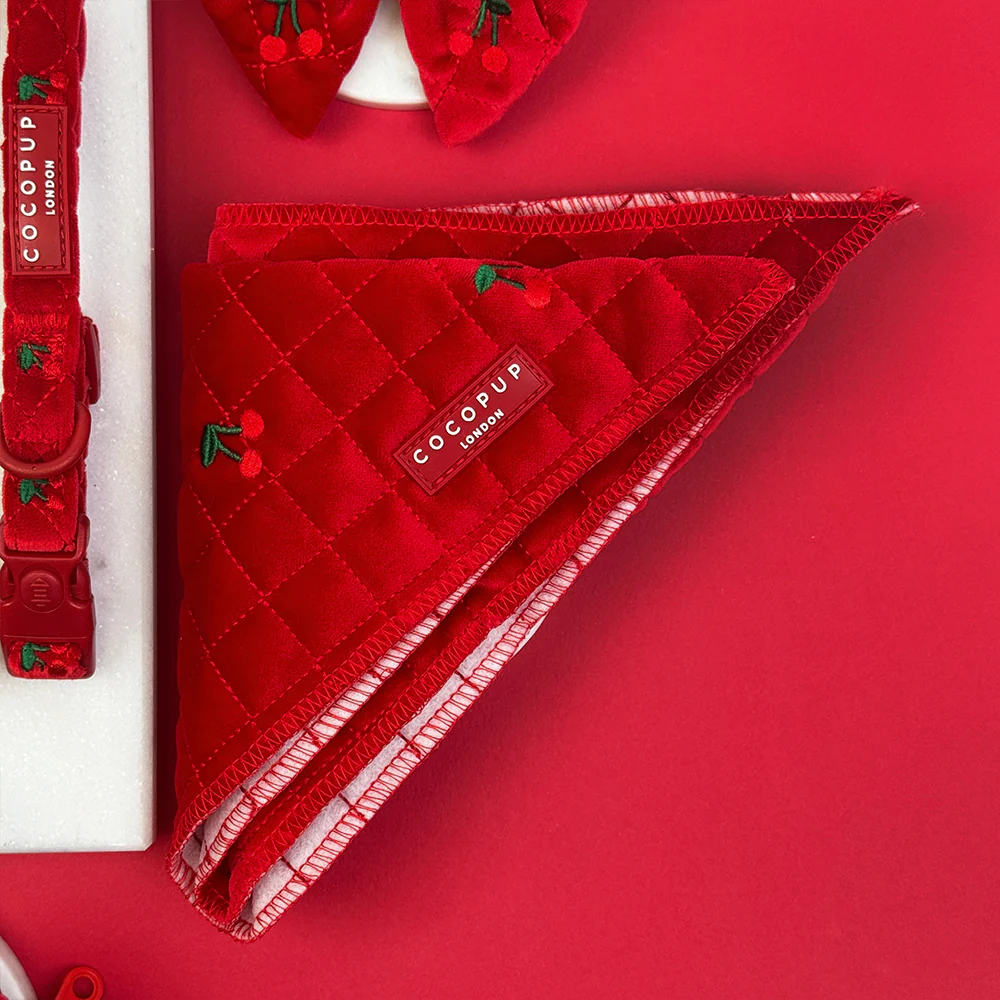 Cherry Velvet Crush Bandana - Image 2