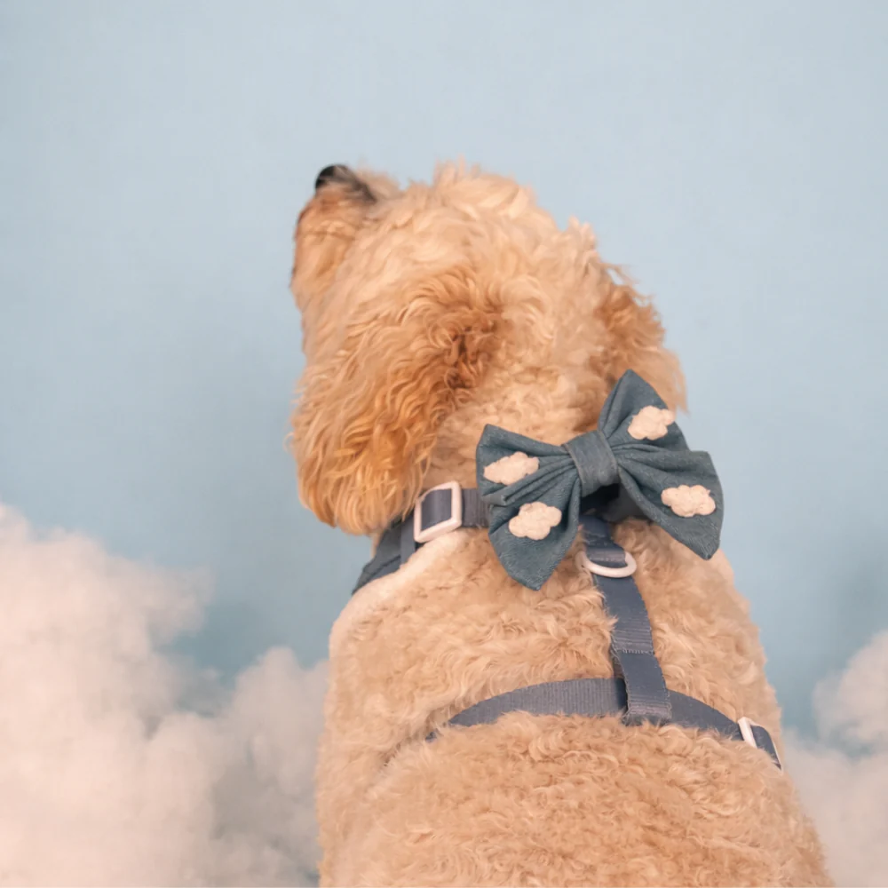 Cloud Nine Sailor Bow Tie - Image 3