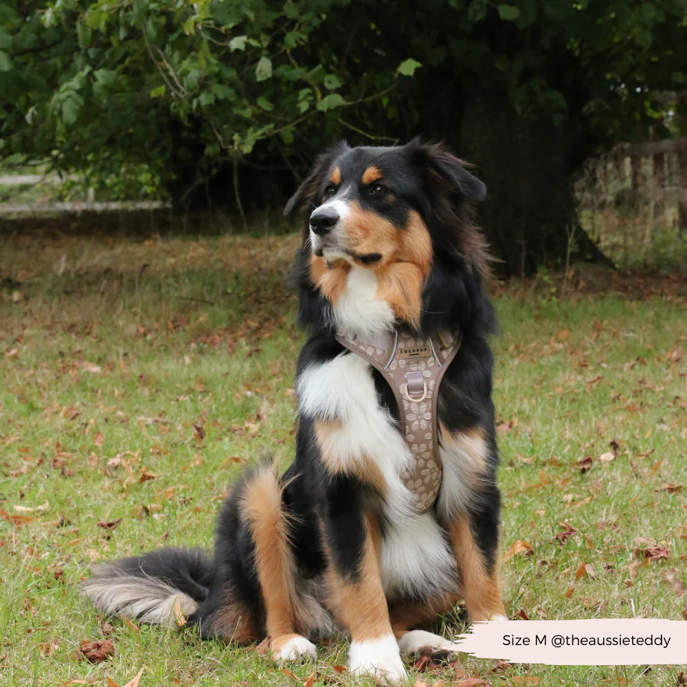 Explore Harness - Mocha Flower - Image 10