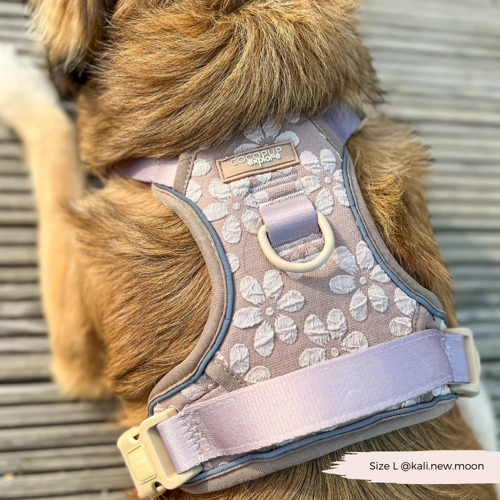 Explore Harness - Mocha Flower - Image 17