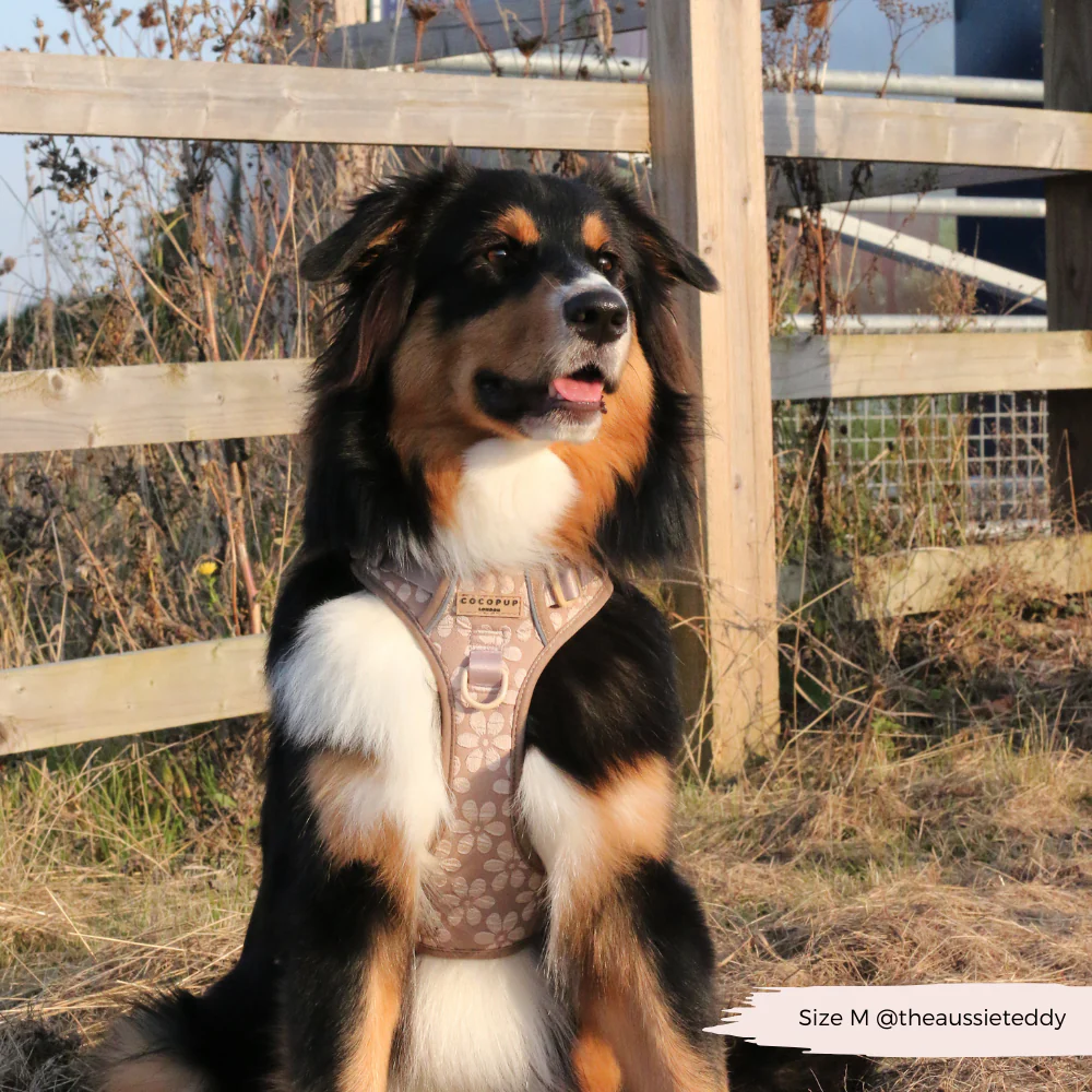 Explore Harness - Mocha Flower - Image 21