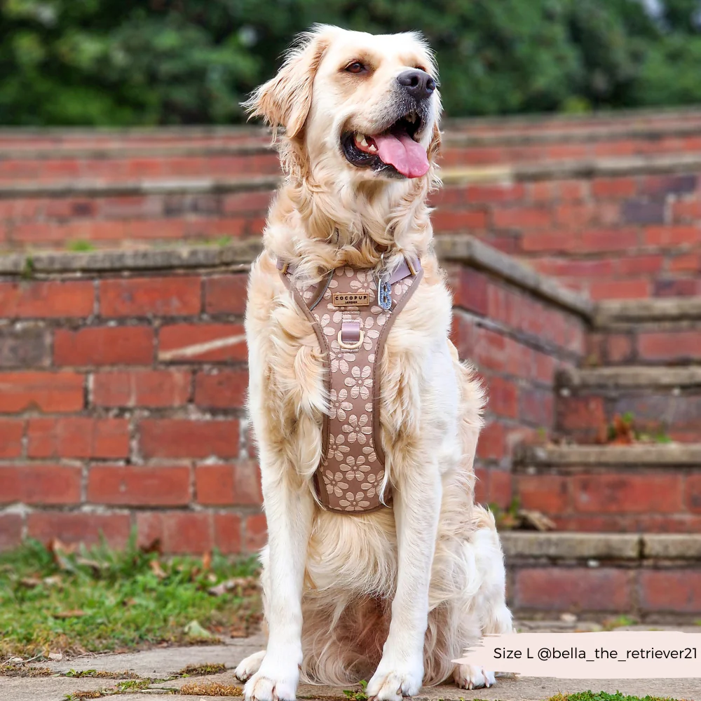 Explore Harness - Mocha Flower - Image 28