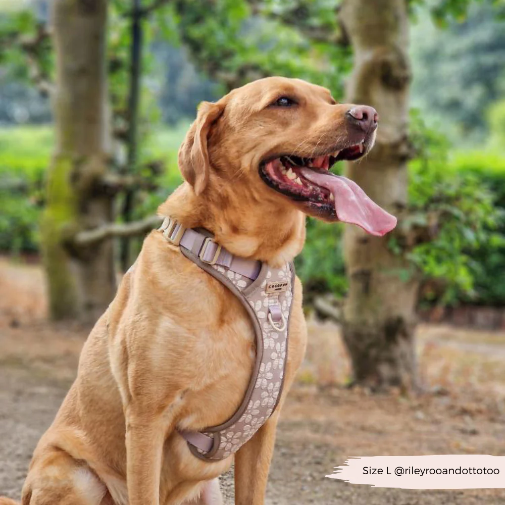 Explore Harness - Mocha Flower - Image 30