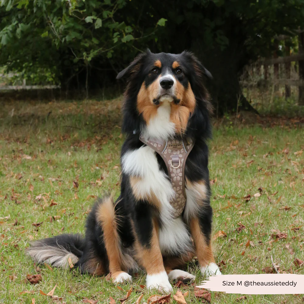 Explore Harness - Mocha Flower - Image 33