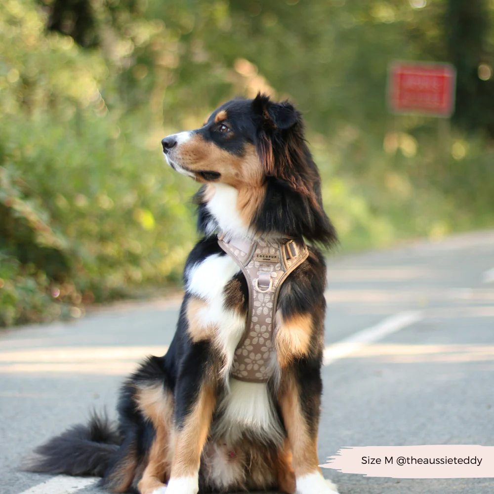 Explore Harness - Mocha Flower - Image 35