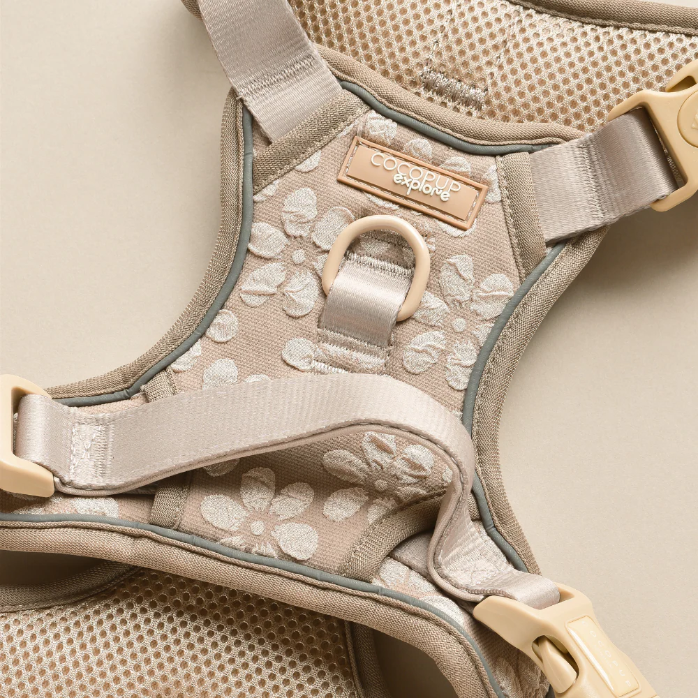 Explore Harness - Mocha Flower - Image 4