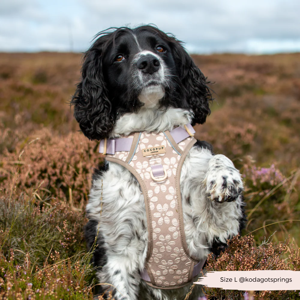 Explore Harness - Mocha Flower - Image 6