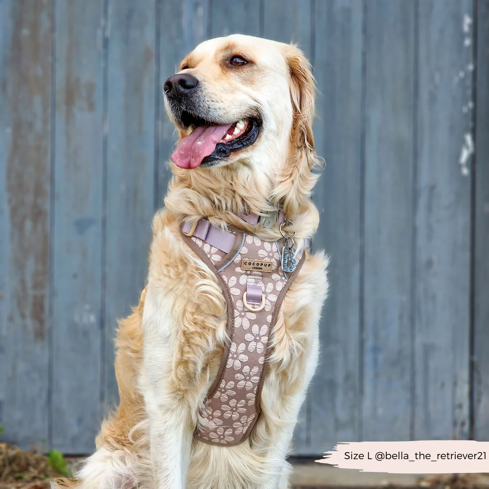 Explore Harness - Mocha Flower - Image 9