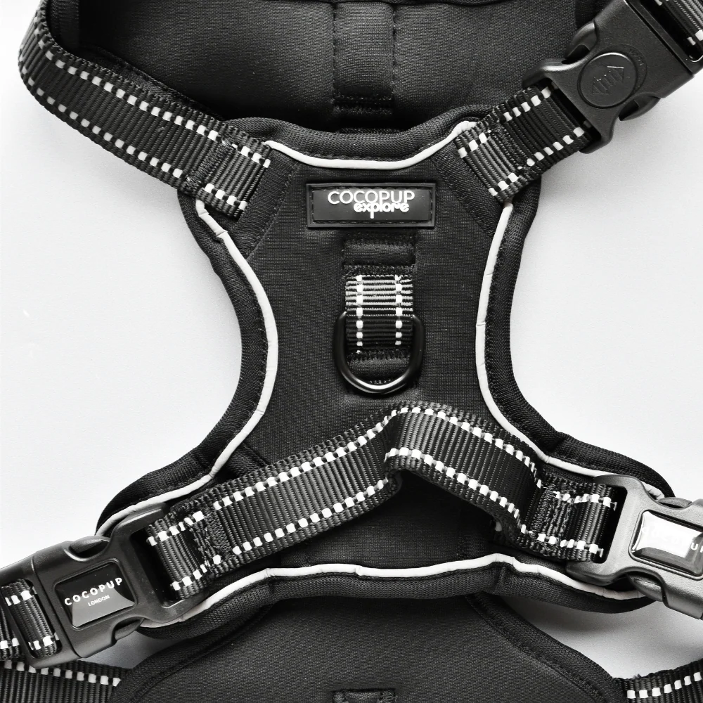 Explore Harness - NAKD Liquorice - Image 3