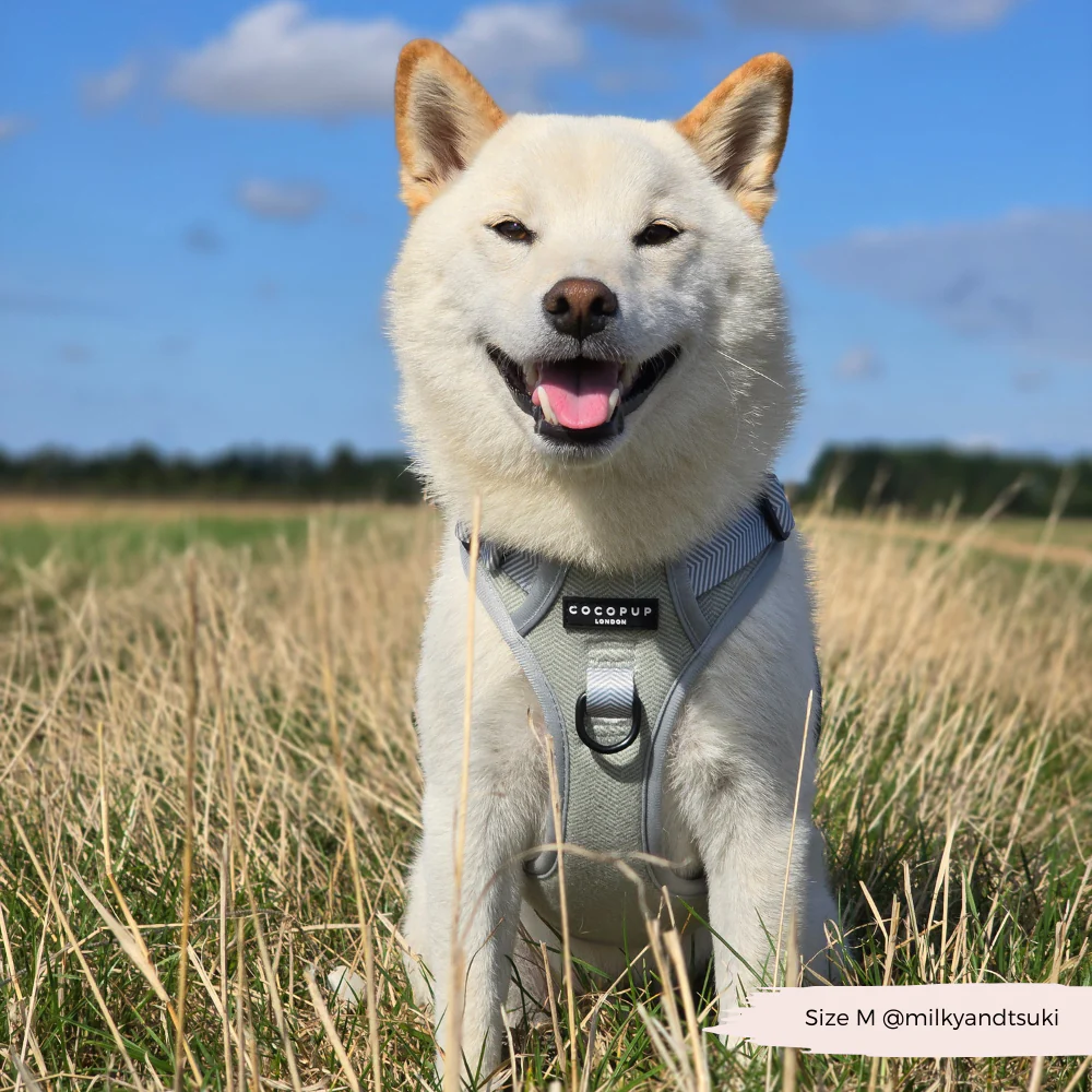 Explore Harness - Sage Tweed - Image 10