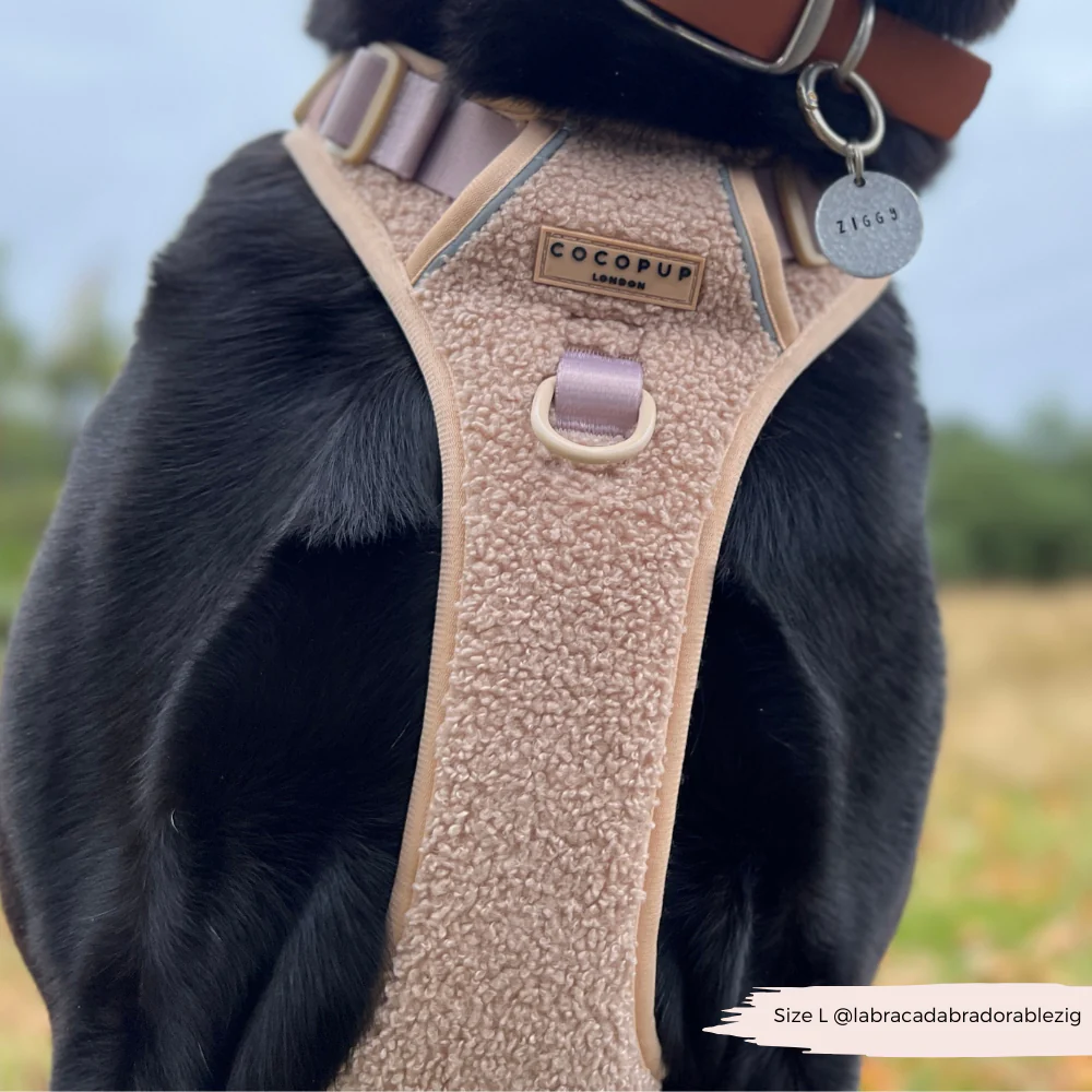 Explore Harness - Teddy Rupert - Image 15