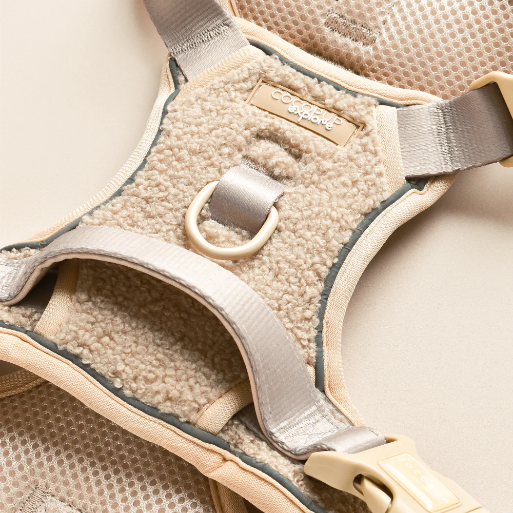 Explore Harness - Teddy Rupert - Image 4