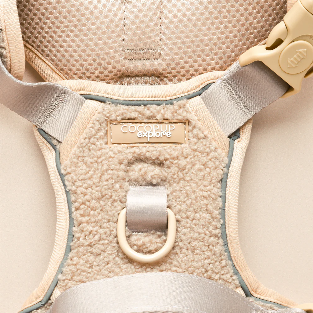 Explore Harness - Teddy Rupert - Image 5