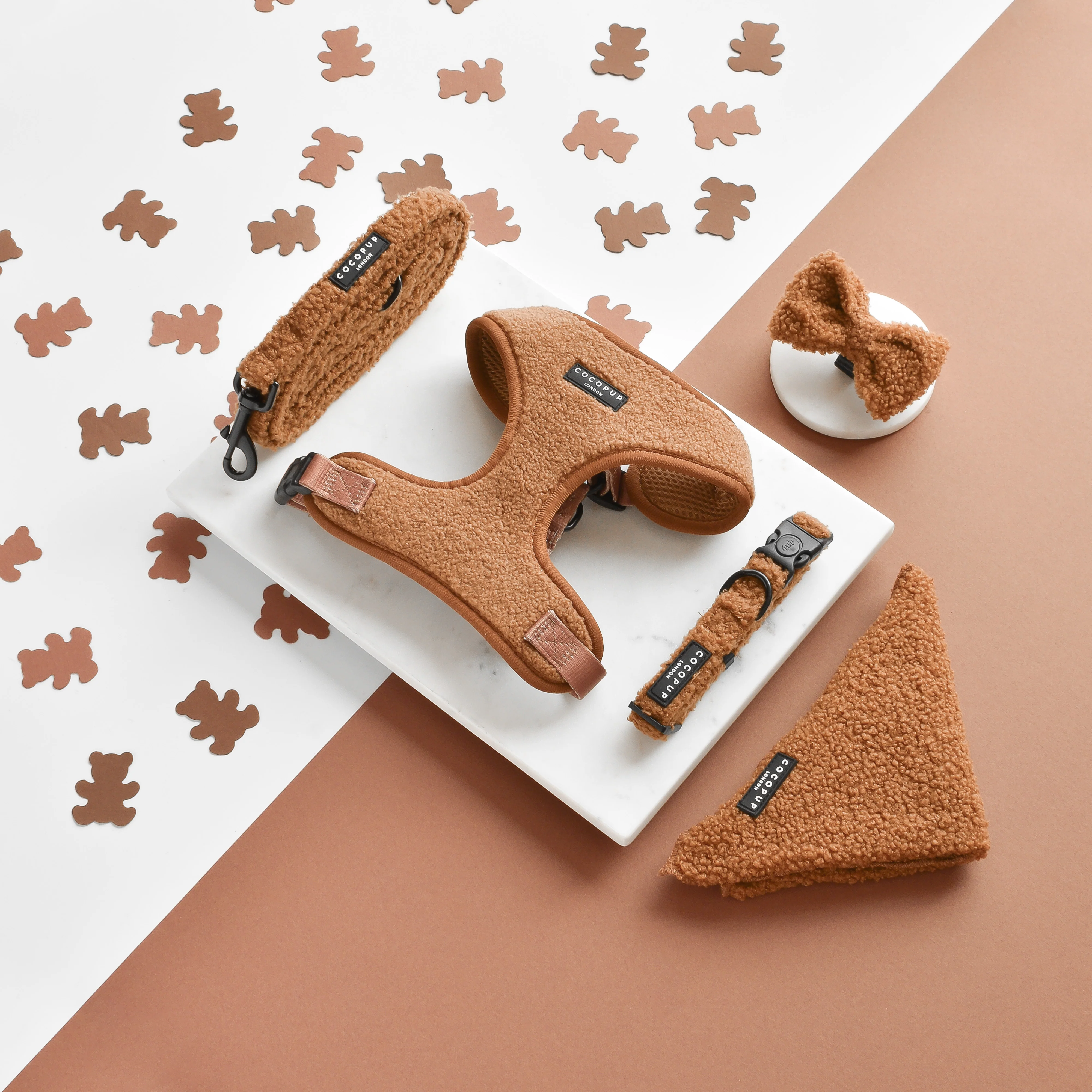 Teddy COLLAR - Paddington - Image 2