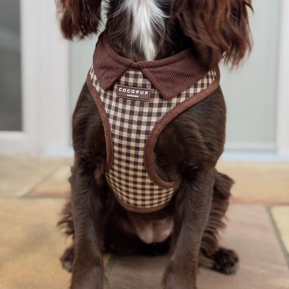 Cotswold Check Adjustable Neck HARNESS - Image 2