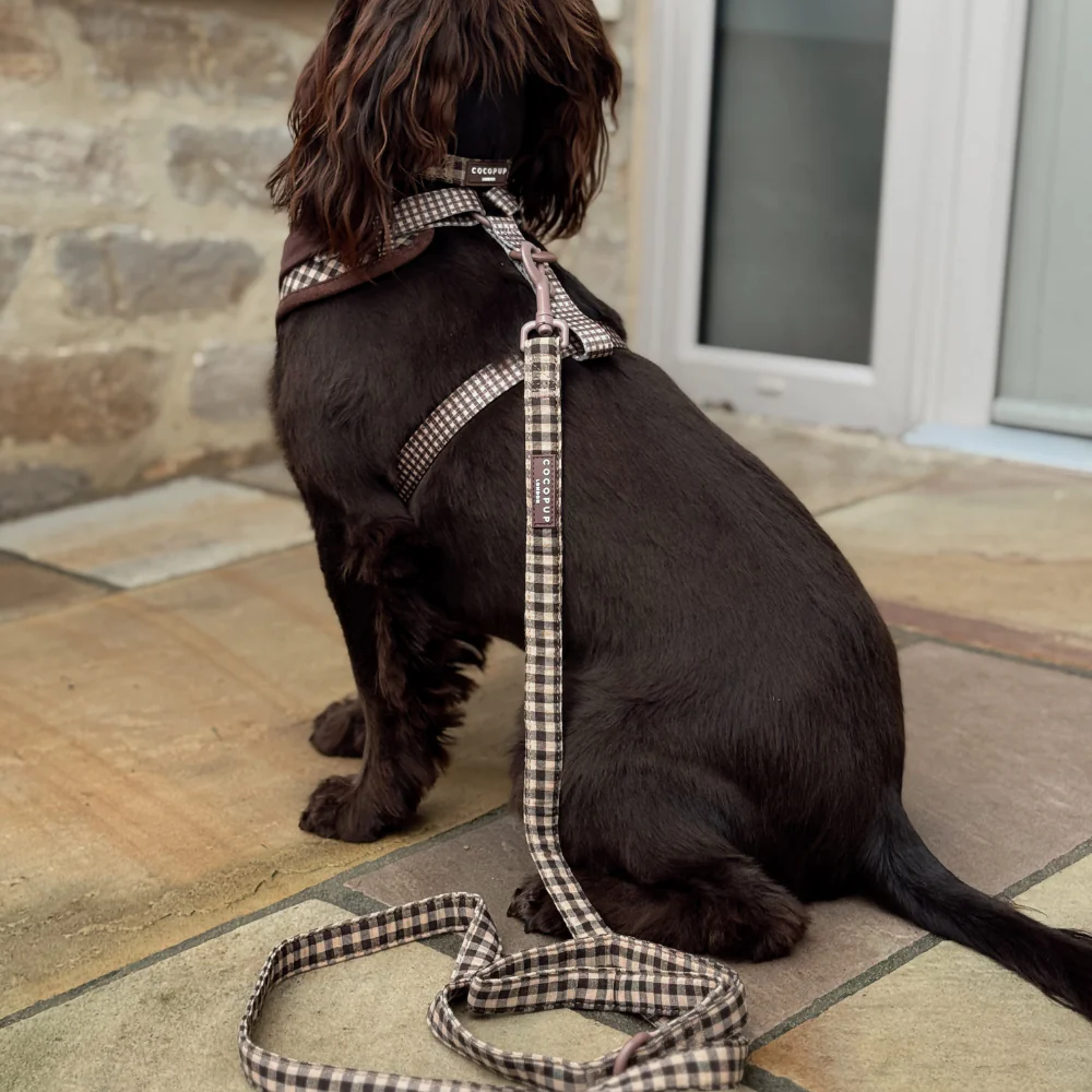 Cotswold Check Lead - Image 6