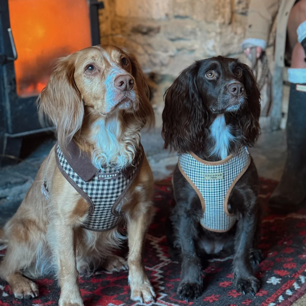 Heritage Check Adjustable Neck HARNESS - Image 6