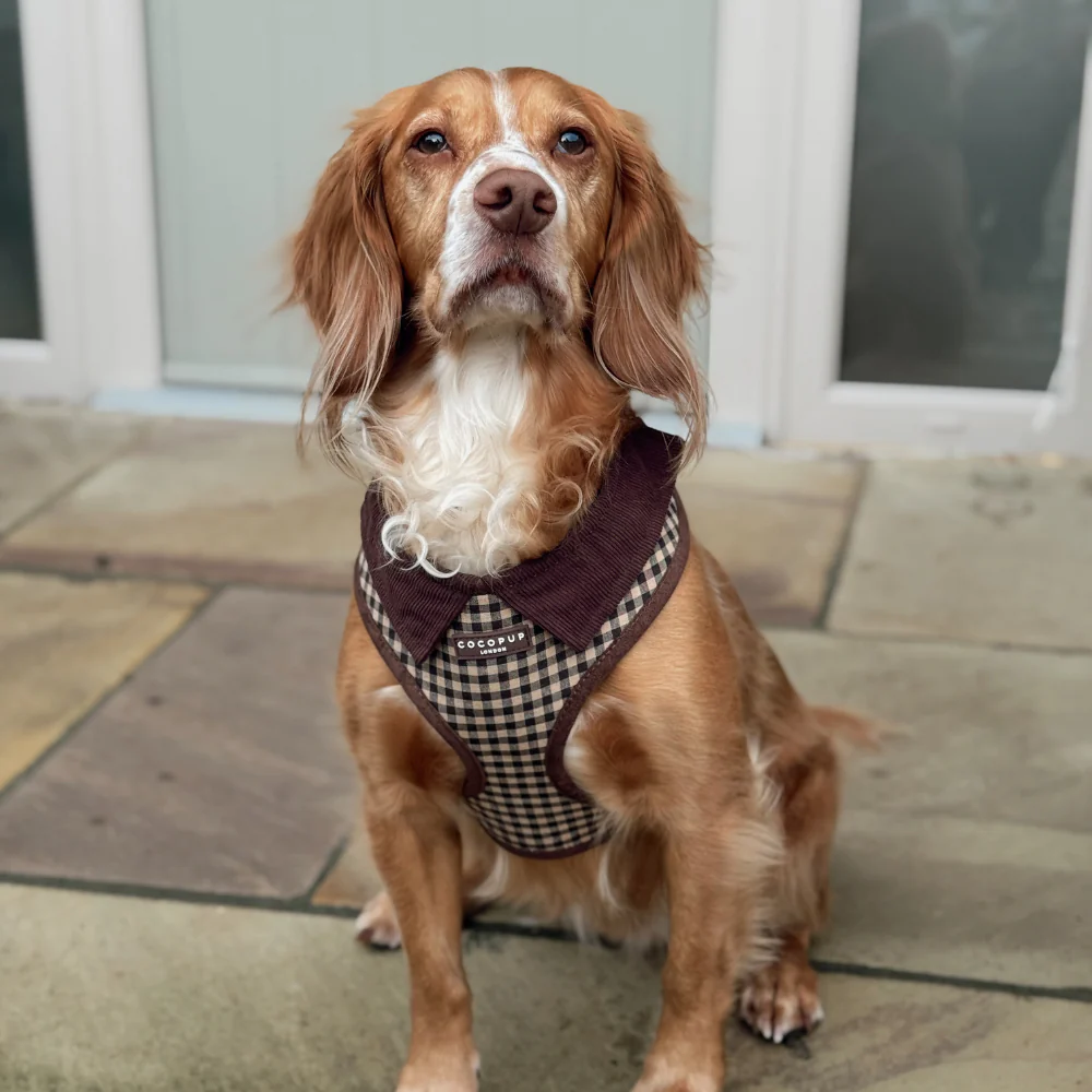 Cotswold Check Adjustable Neck HARNESS - Image 6