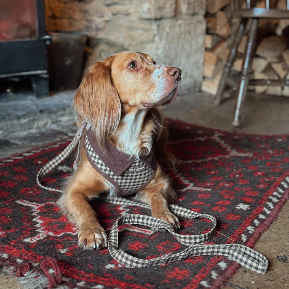 Cotswold Check Lead - Image 2
