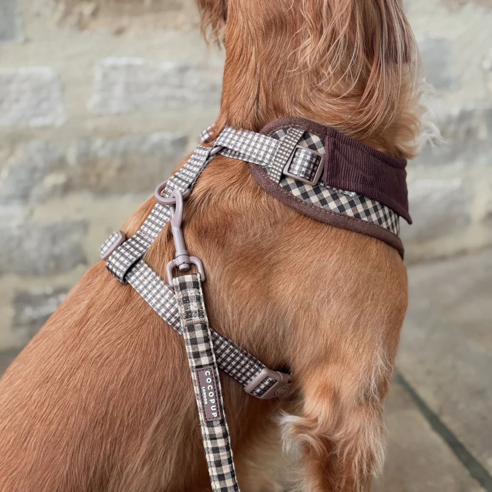 Cotswold Check Lead - Image 3