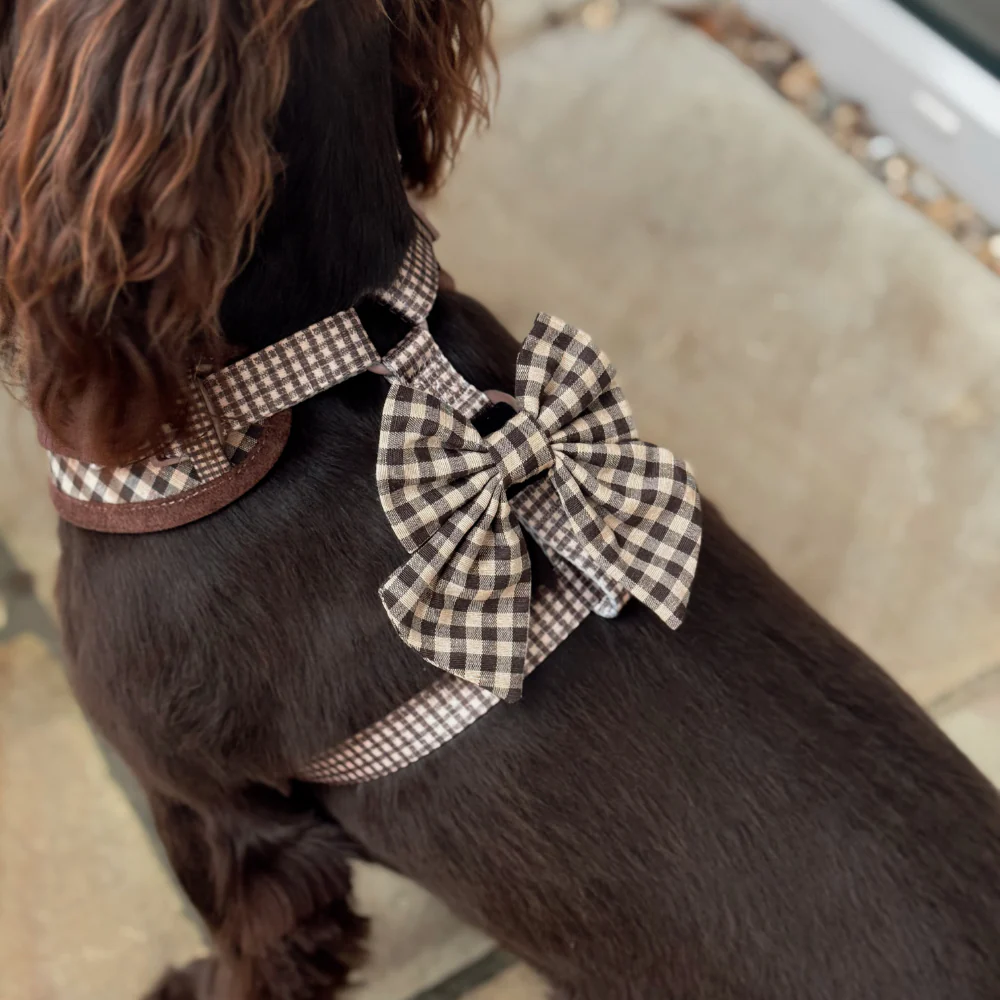 Cotswold Check Sailor Bow Tie - Image 2