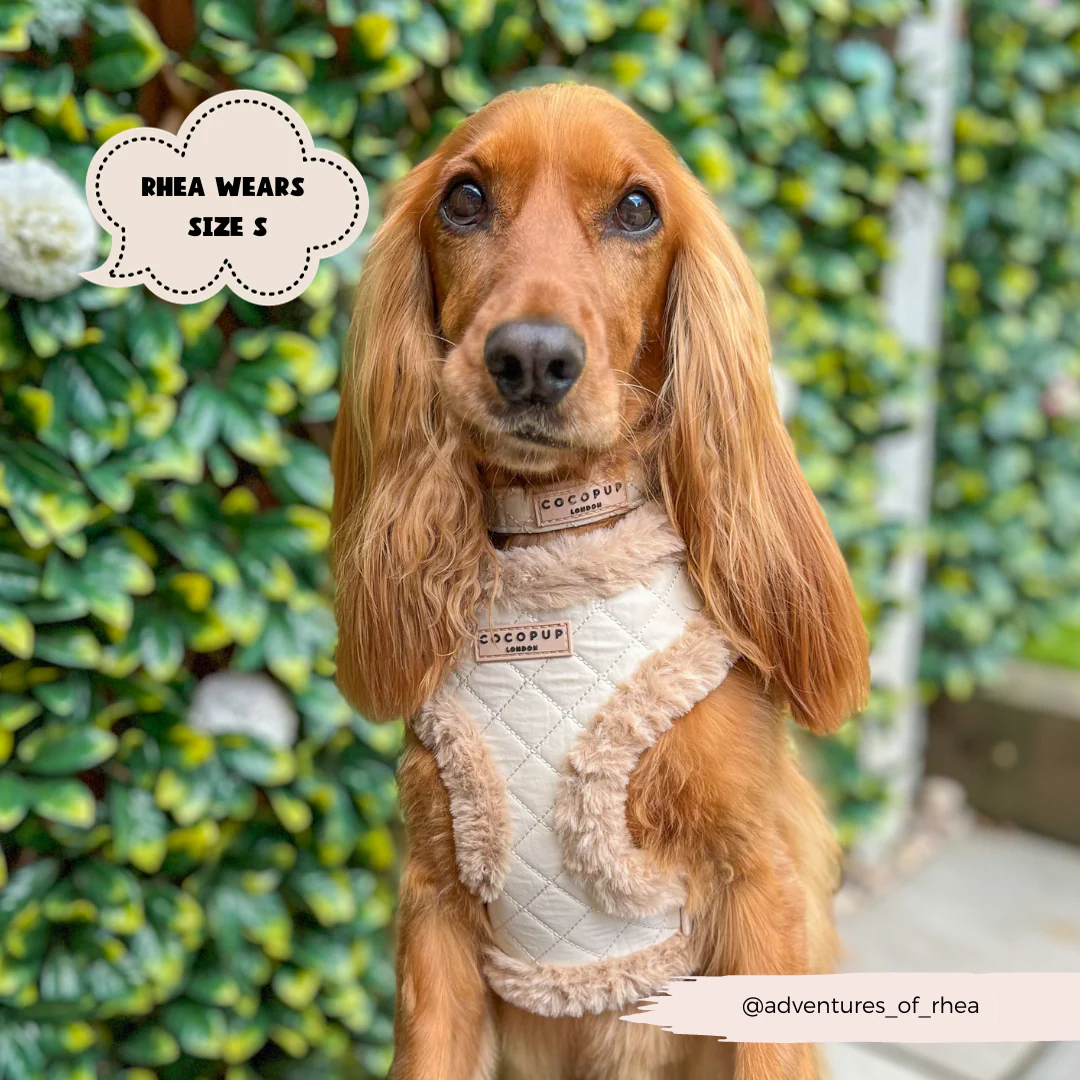 Cream Quilted Adjustable Neck Harness, Lead & Collar Bundle - Image 22