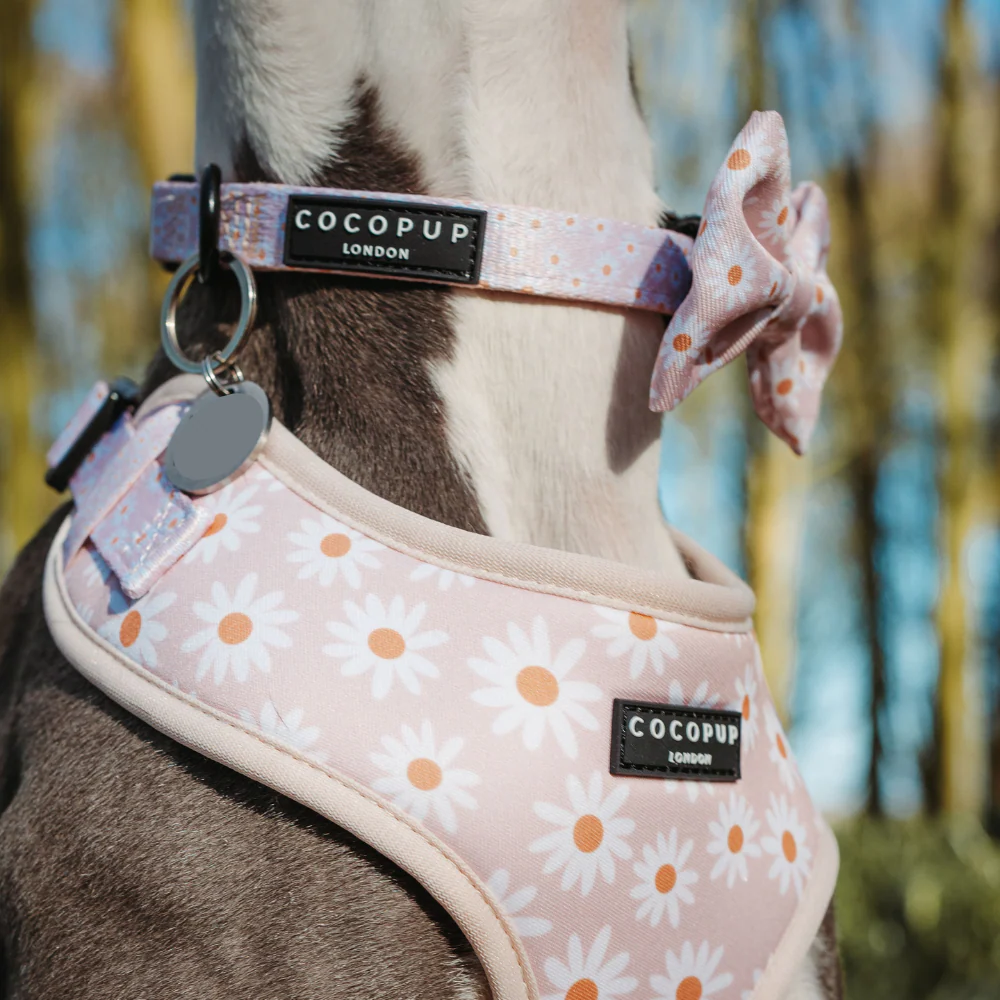 Daisy Chain Collar - Image 5