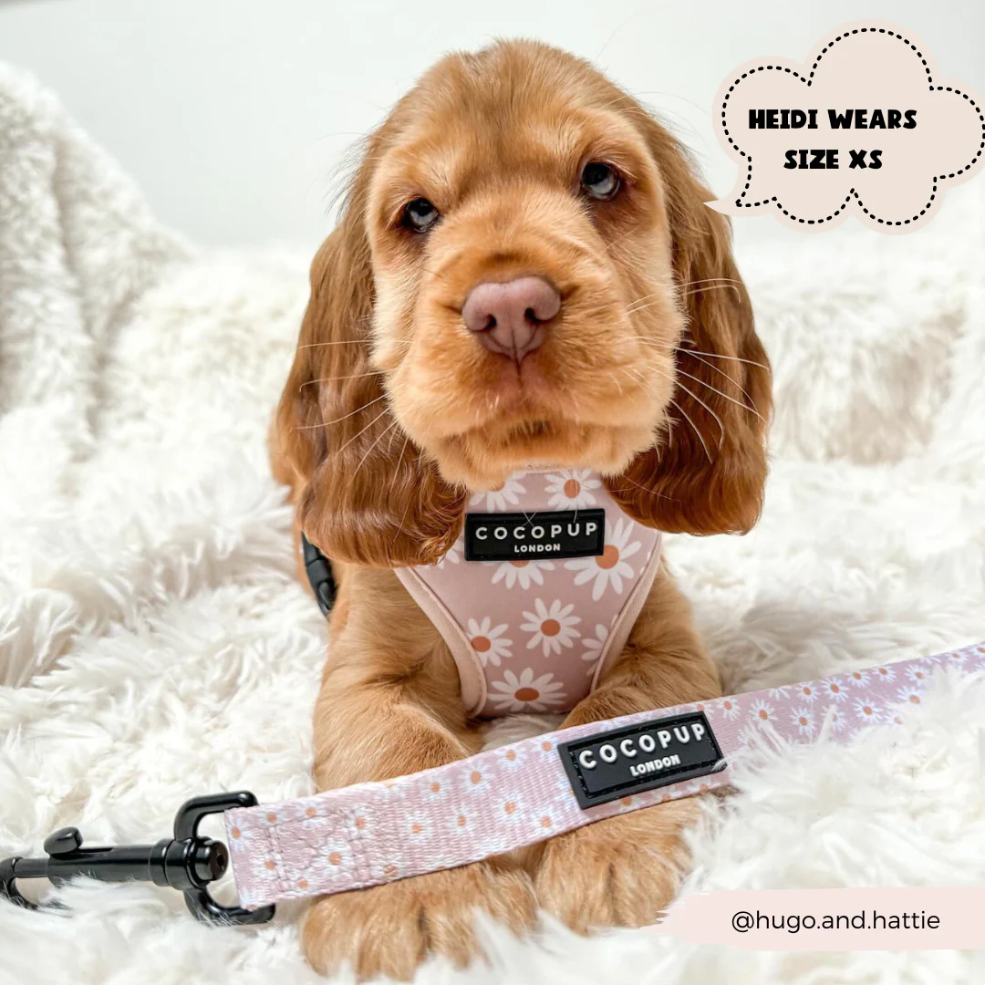 Daisy Chain Lead - Image 5