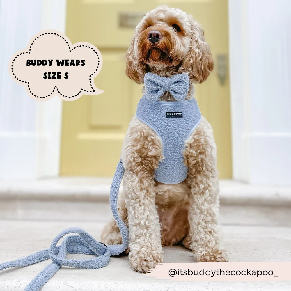 Teddy Adjustable Neck HARNESS - Daydream - Image 10