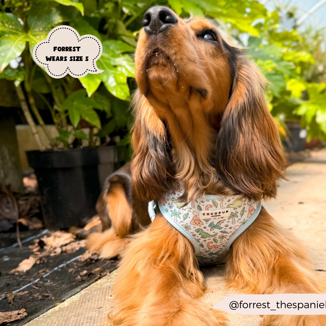 Dinopaws Adjustable Neck HARNESS - Image 13