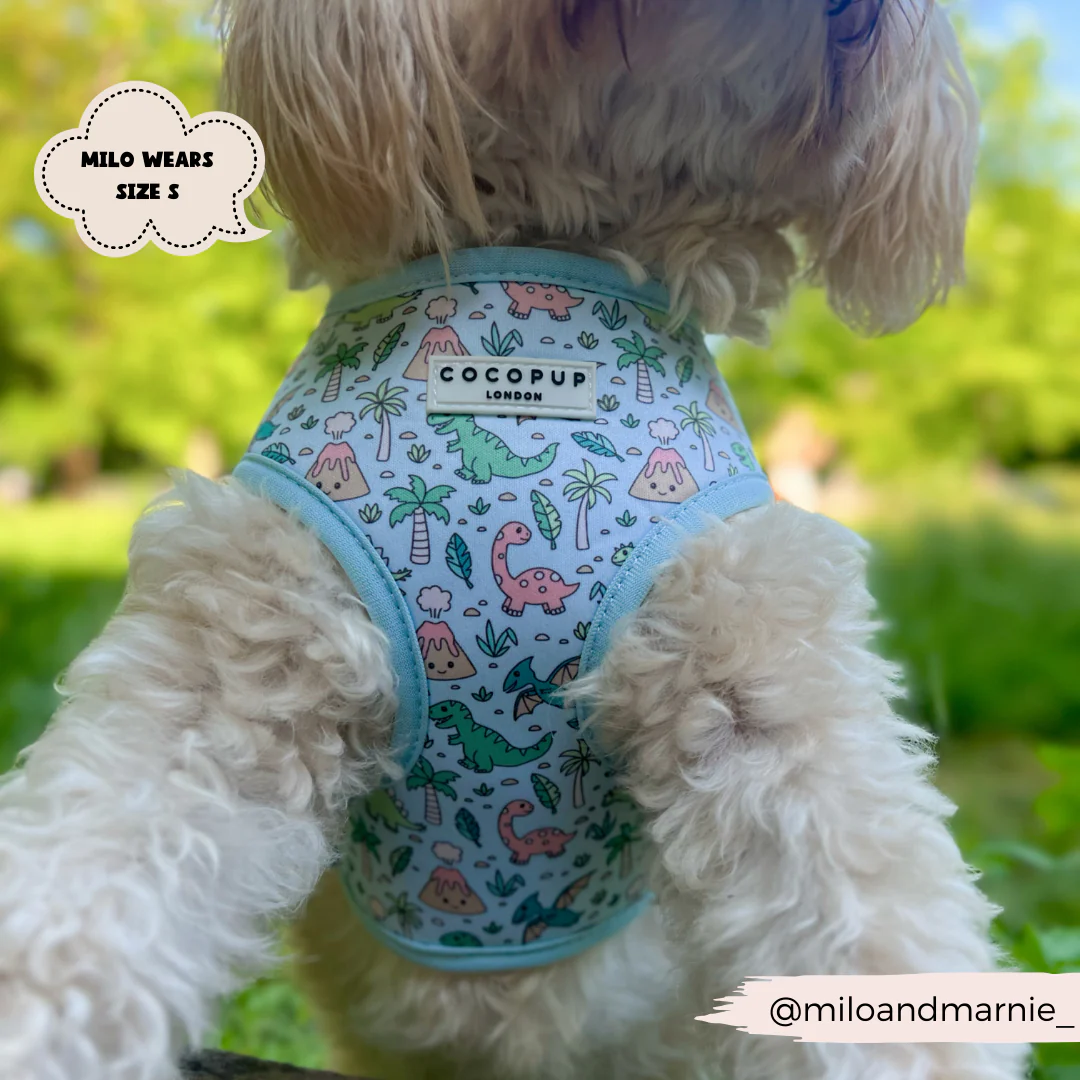 Dinopaws Adjustable Neck HARNESS - Image 14