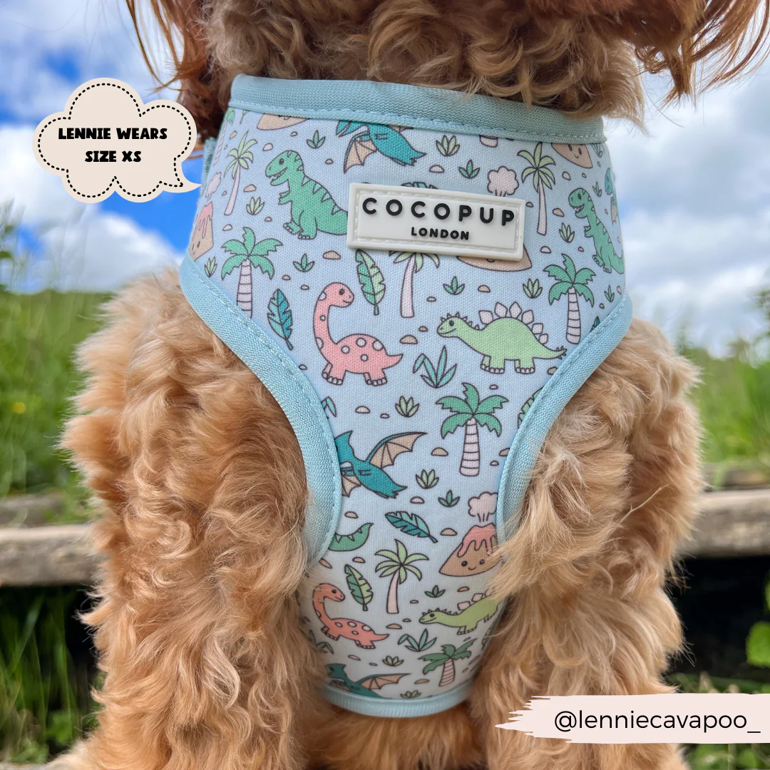 Dinopaws Adjustable Neck HARNESS - Image 16