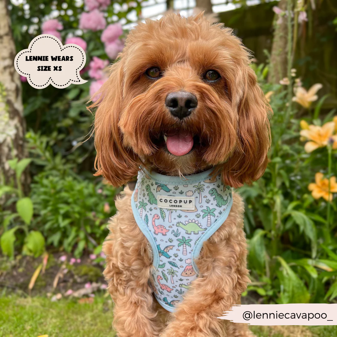 Dinopaws Adjustable Neck HARNESS - Image 17