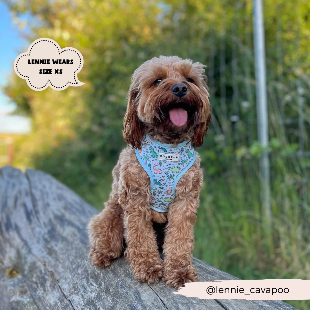 Dinopaws Adjustable Neck HARNESS - Image 26