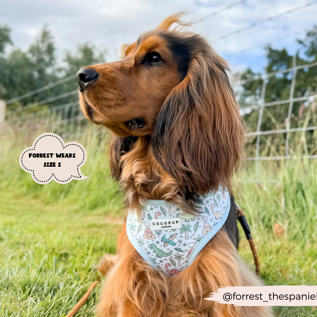 Dinopaws Adjustable Neck HARNESS - Image 8