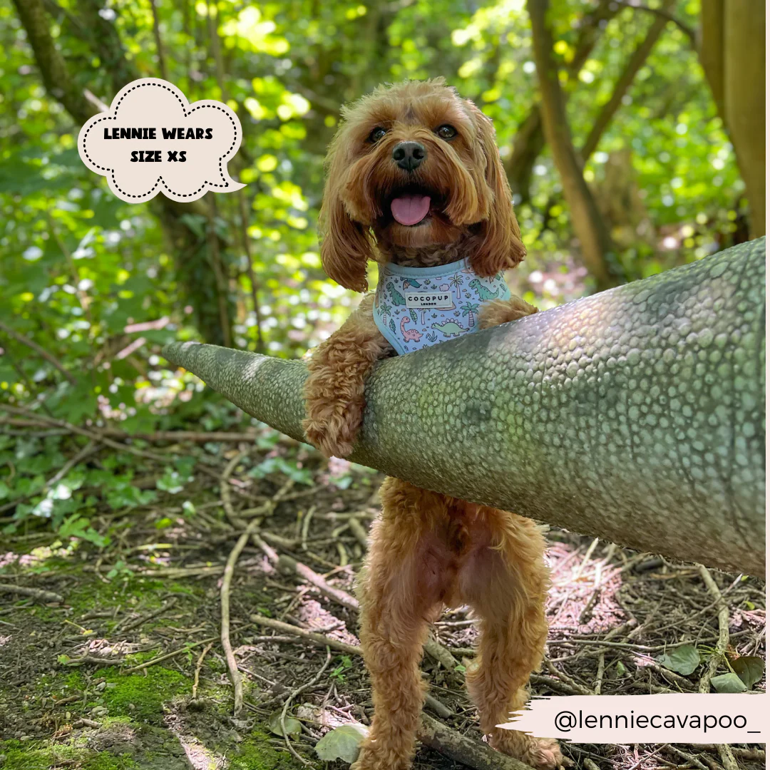 Dinopaws Adjustable Neck HARNESS - Image 9