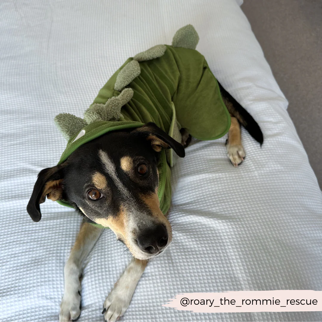 Dinopup Drying Robe - Image 17