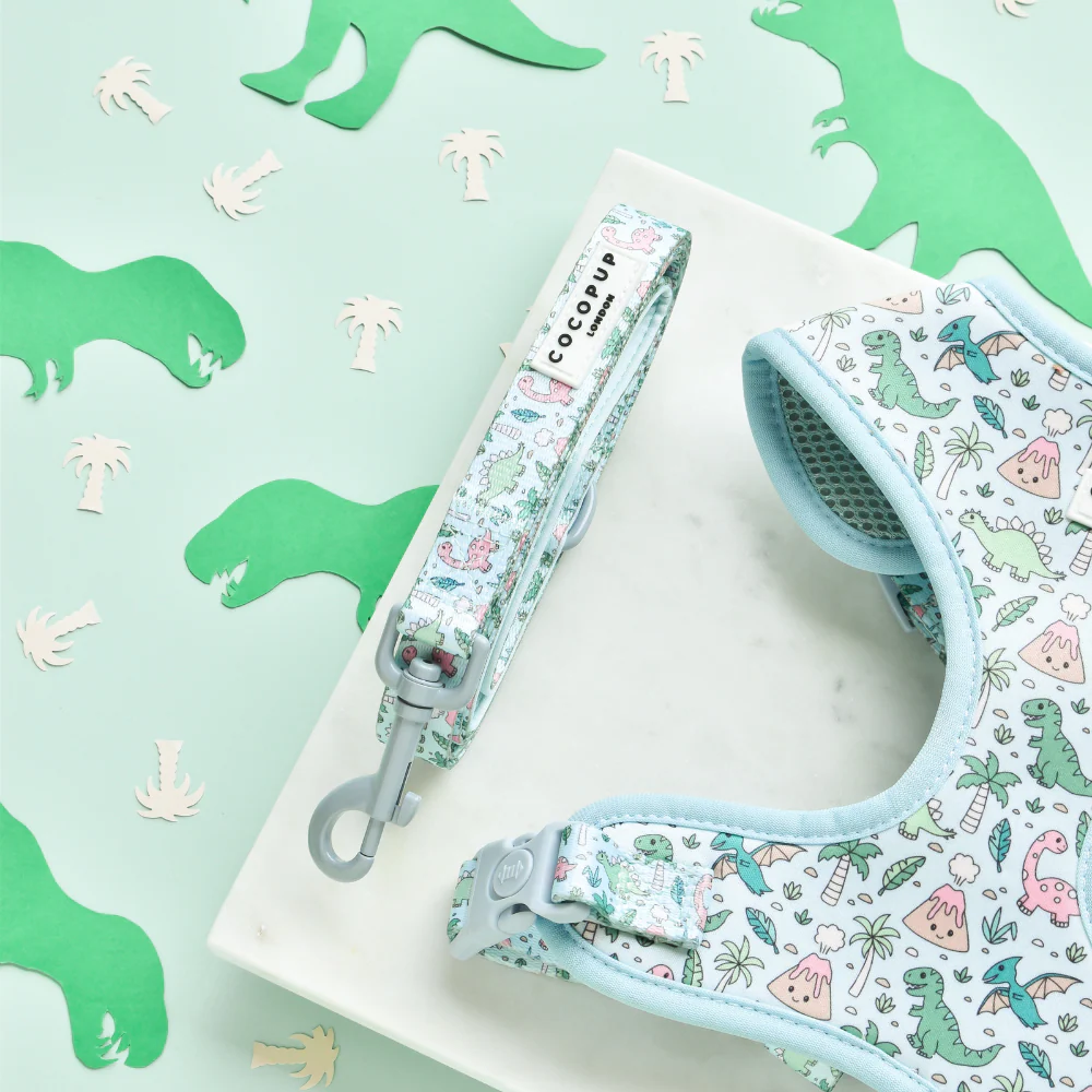 Dinopaws Lead