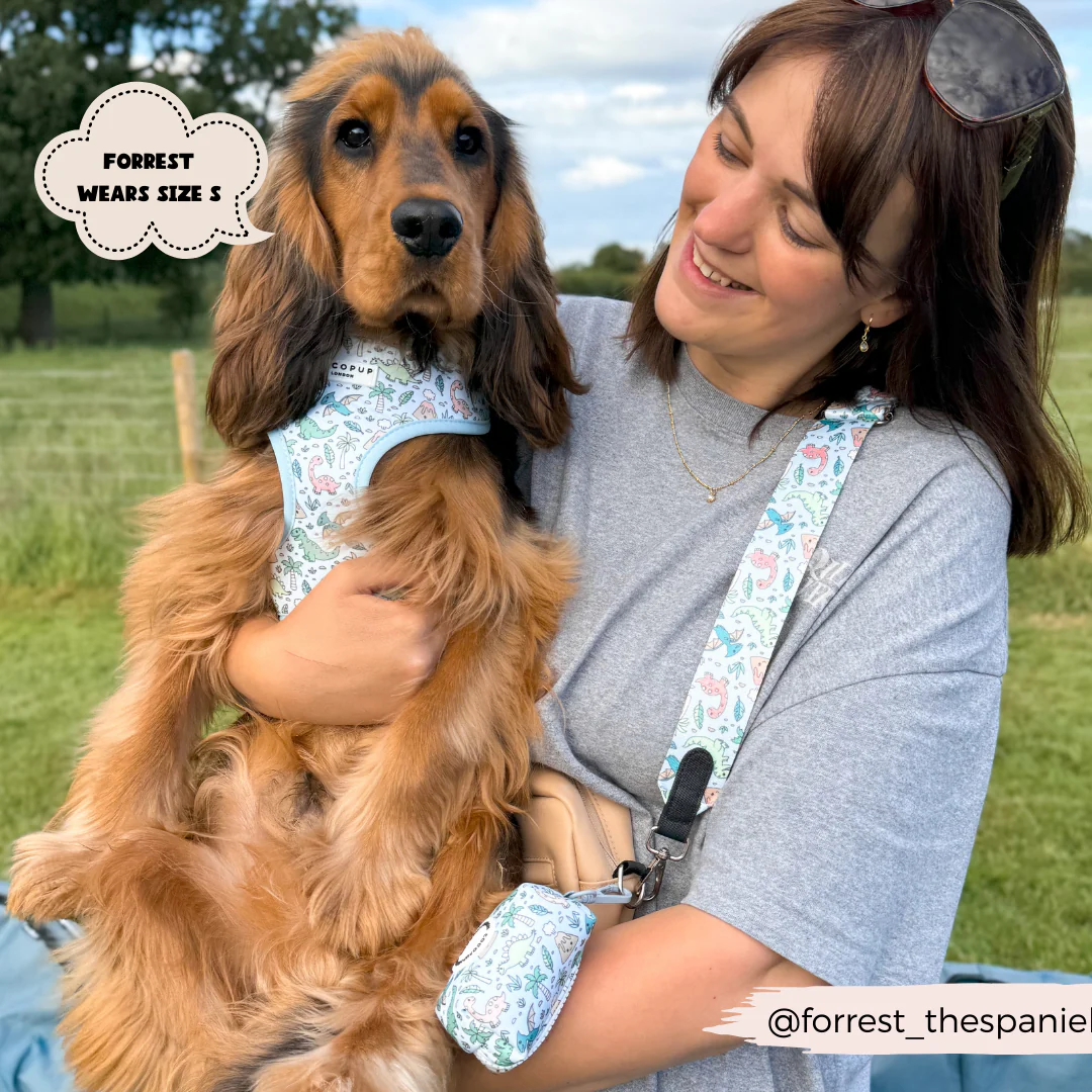 Dinopaws Poop Bag Holder - Image 4