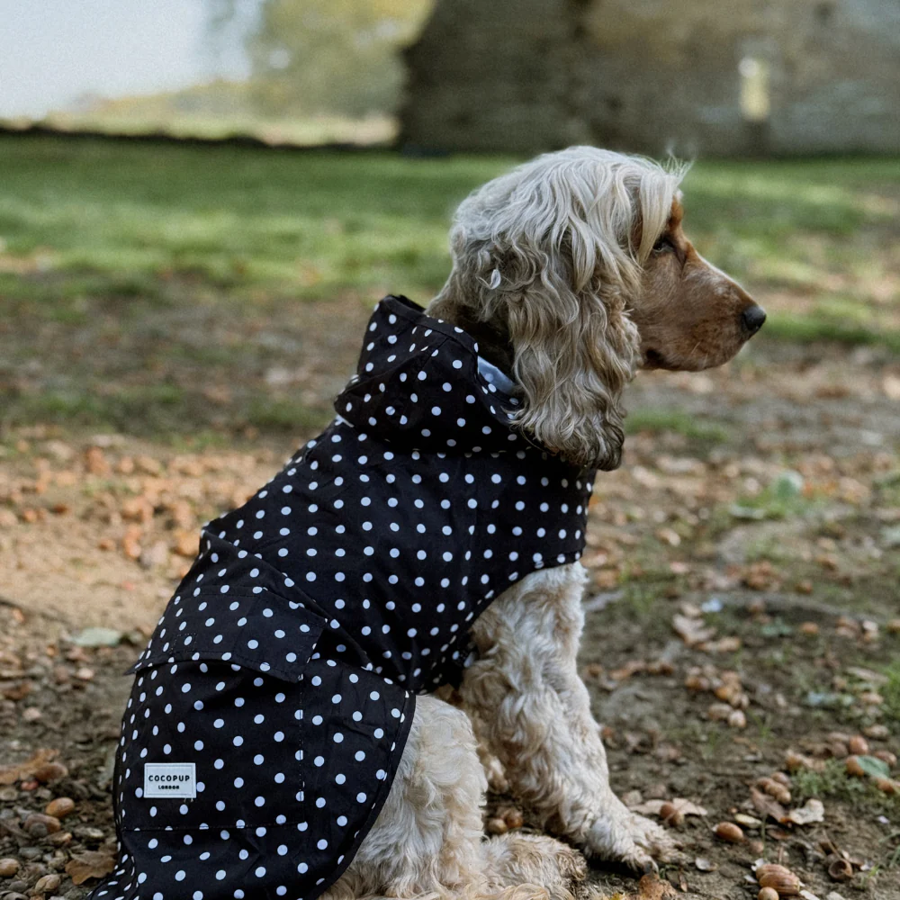 Dog Raincoat - Black Polka Dot - Image 11