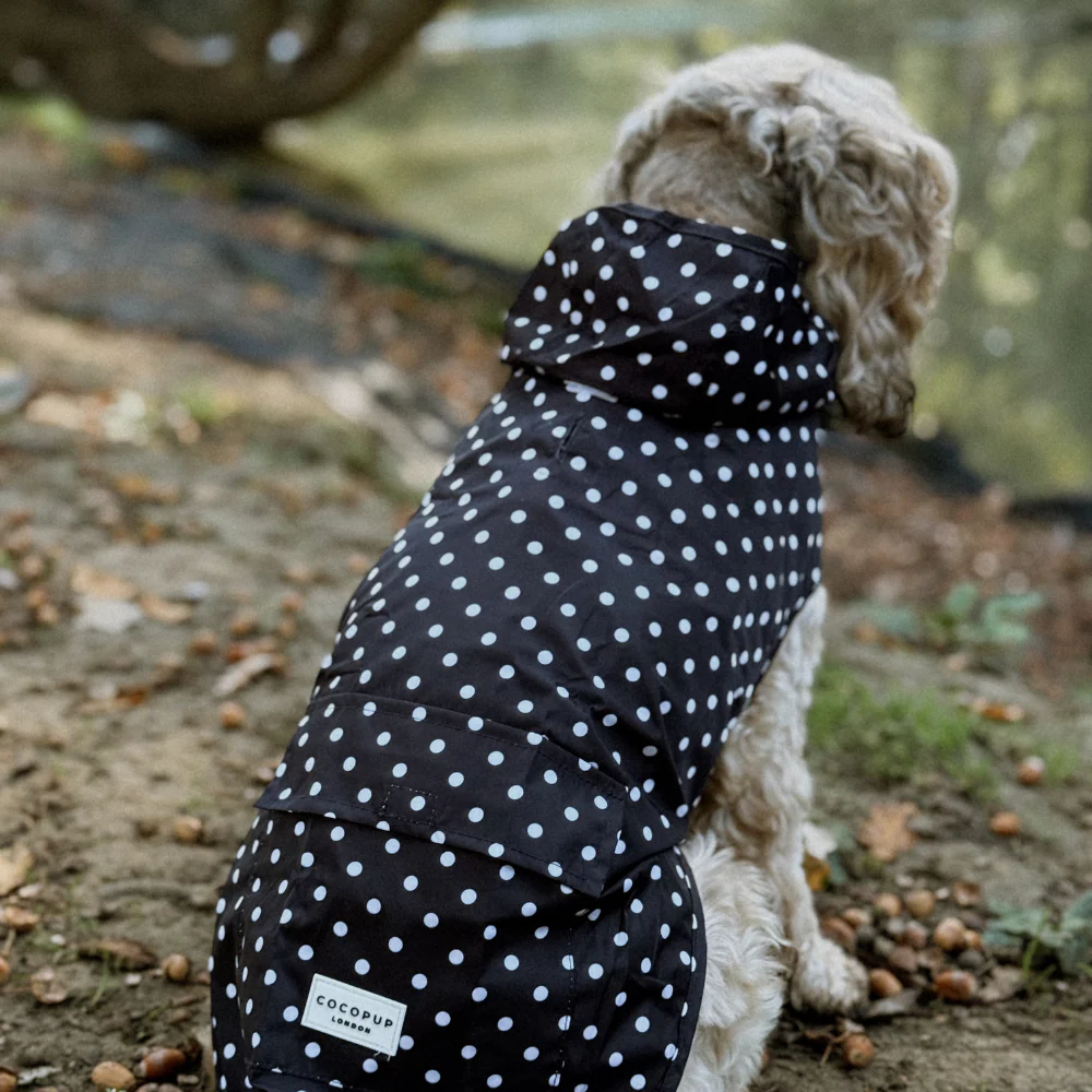 Dog Raincoat - Black Polka Dot - Image 12
