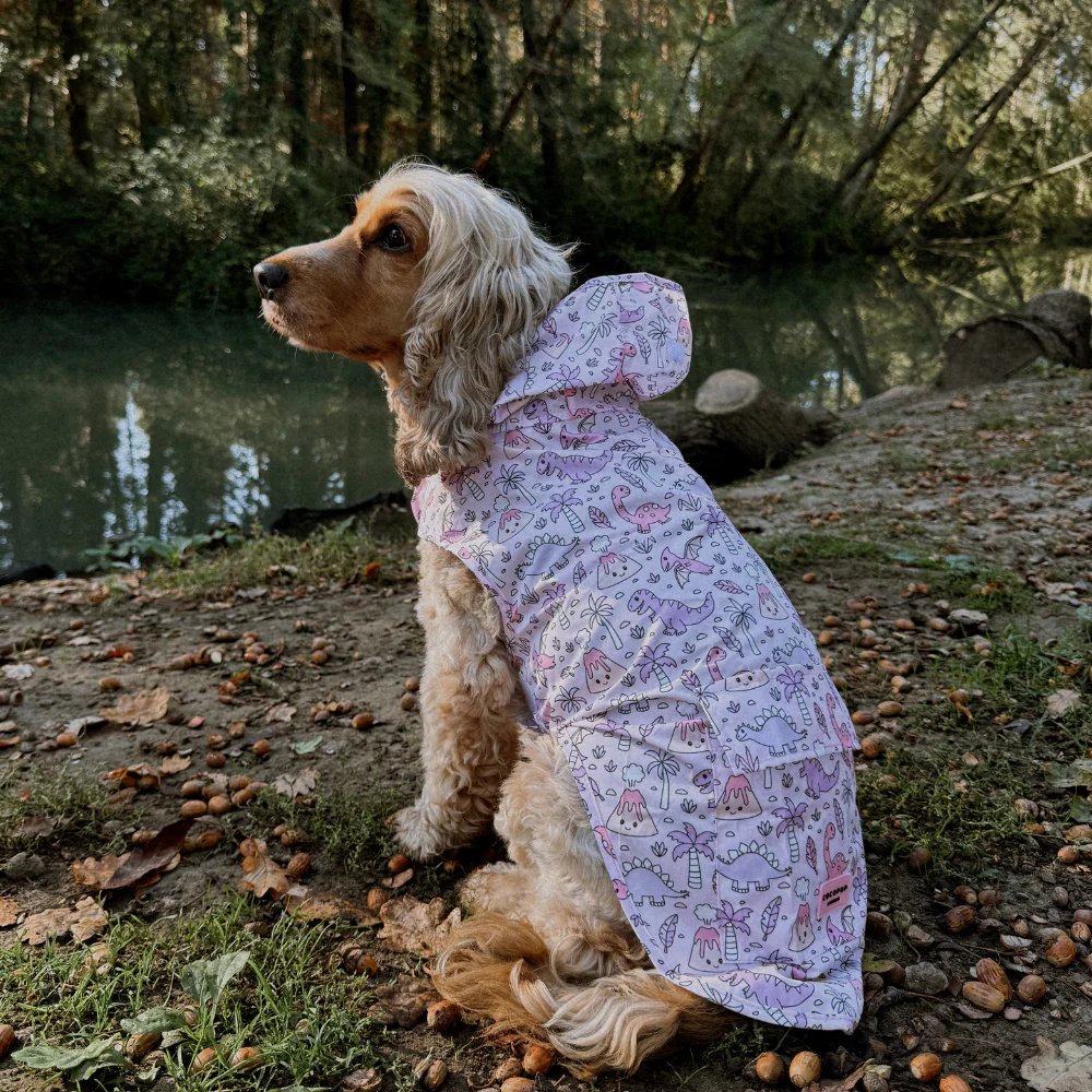 Dog Raincoat - Princess Dino - Image 11