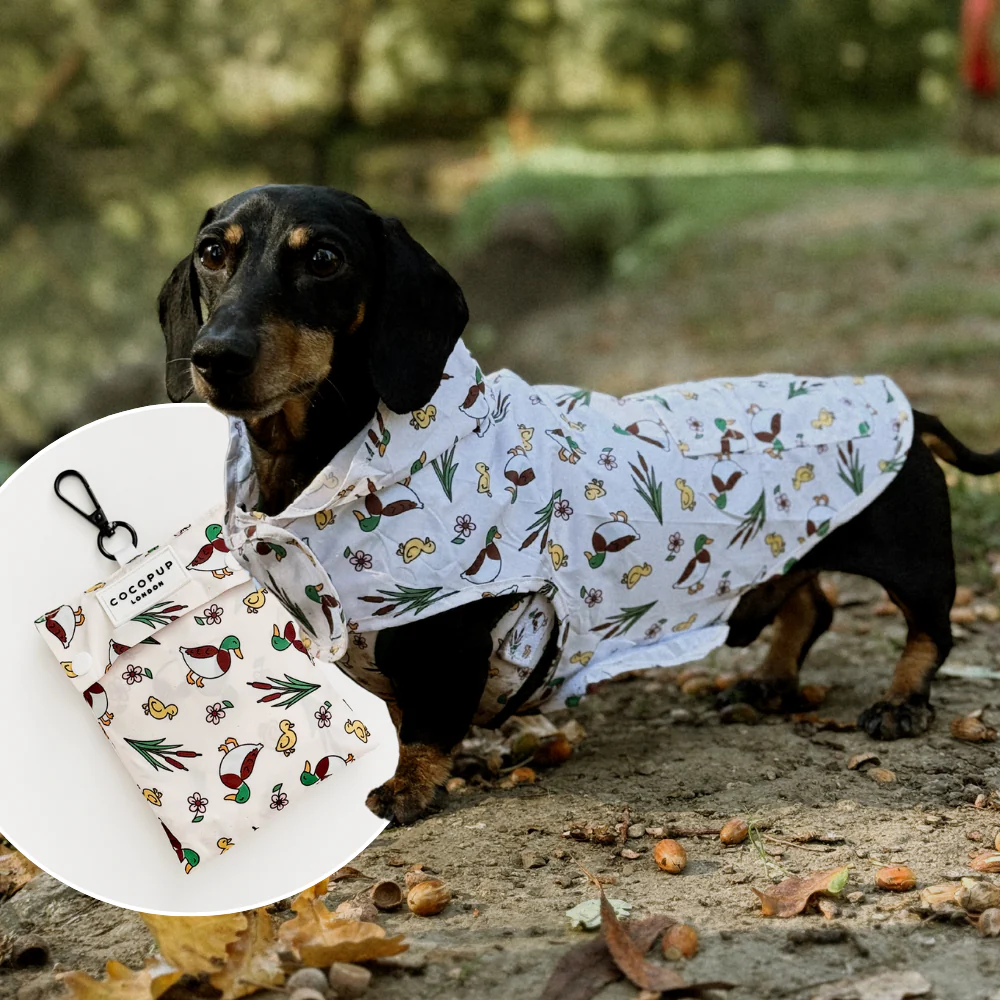 Dog Raincoat - Puddle Pup