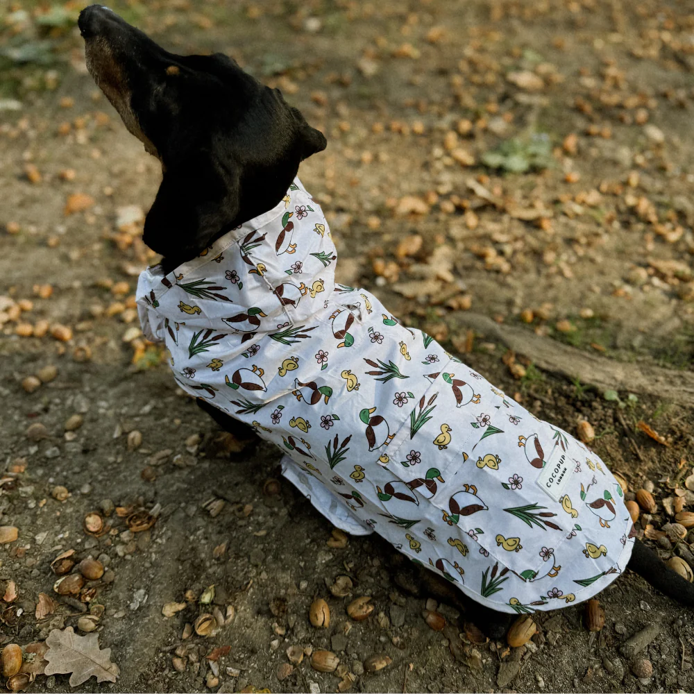 Dog Raincoat - Puddle Pup - Image 10