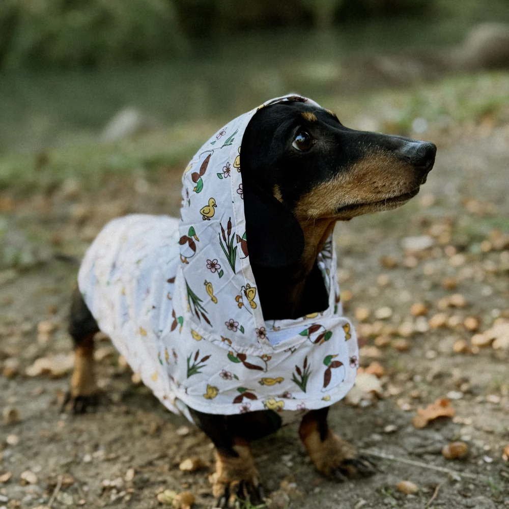 Dog Raincoat - Puddle Pup - Image 12