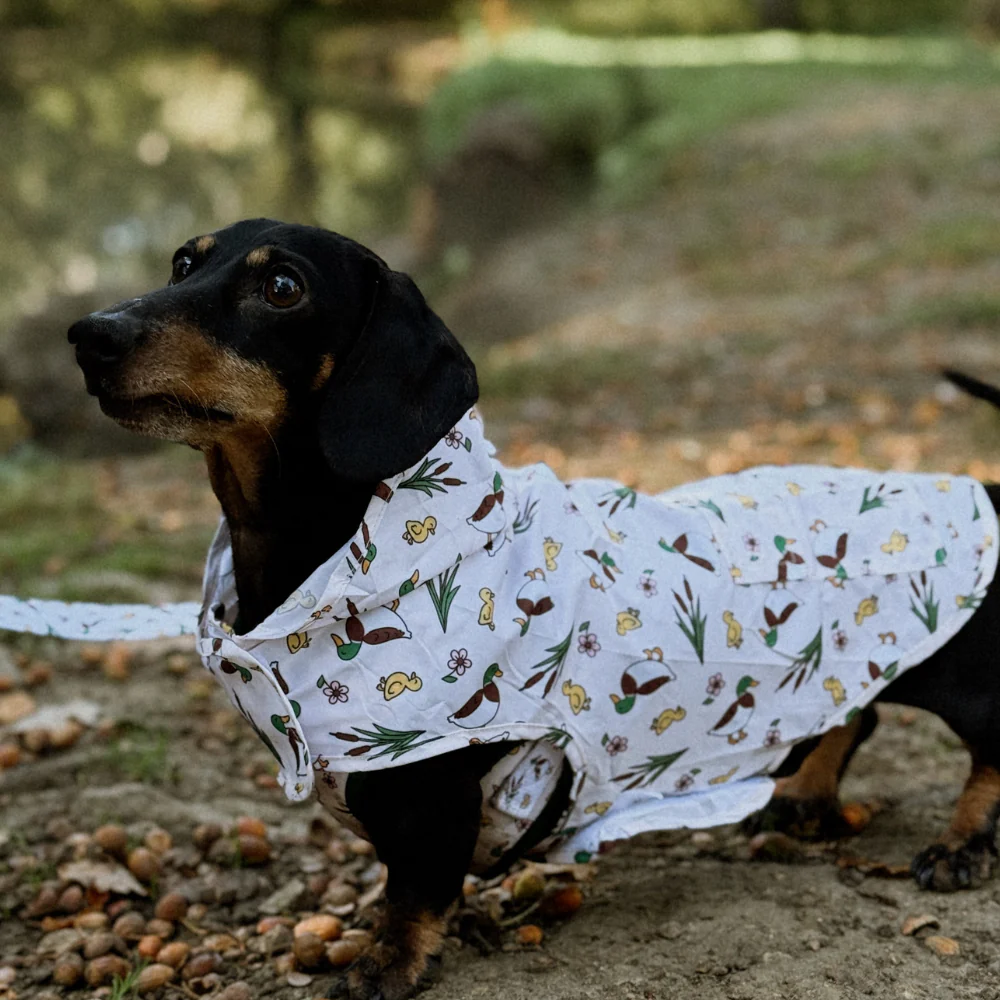 Dog Raincoat - Puddle Pup - Image 5