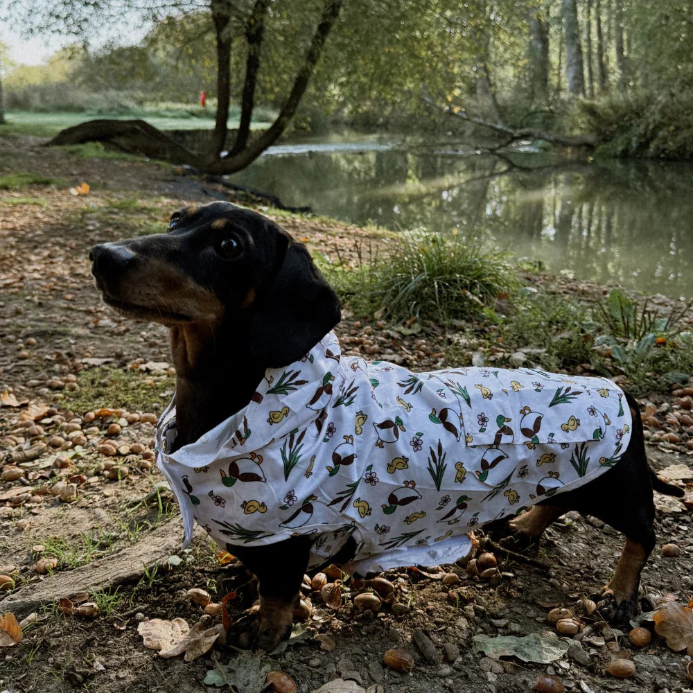 Dog Raincoat - Puddle Pup - Image 8