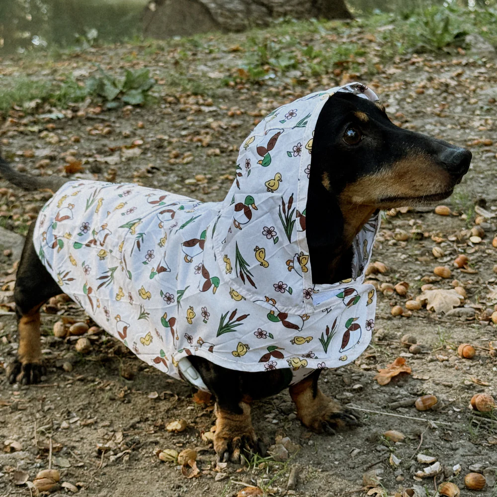 Dog Raincoat - Puddle Pup - Image 9