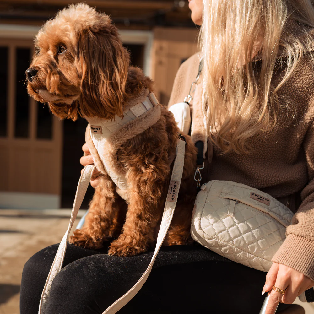 Cream Quilted Dog Walking Bag Bundle - Image 5