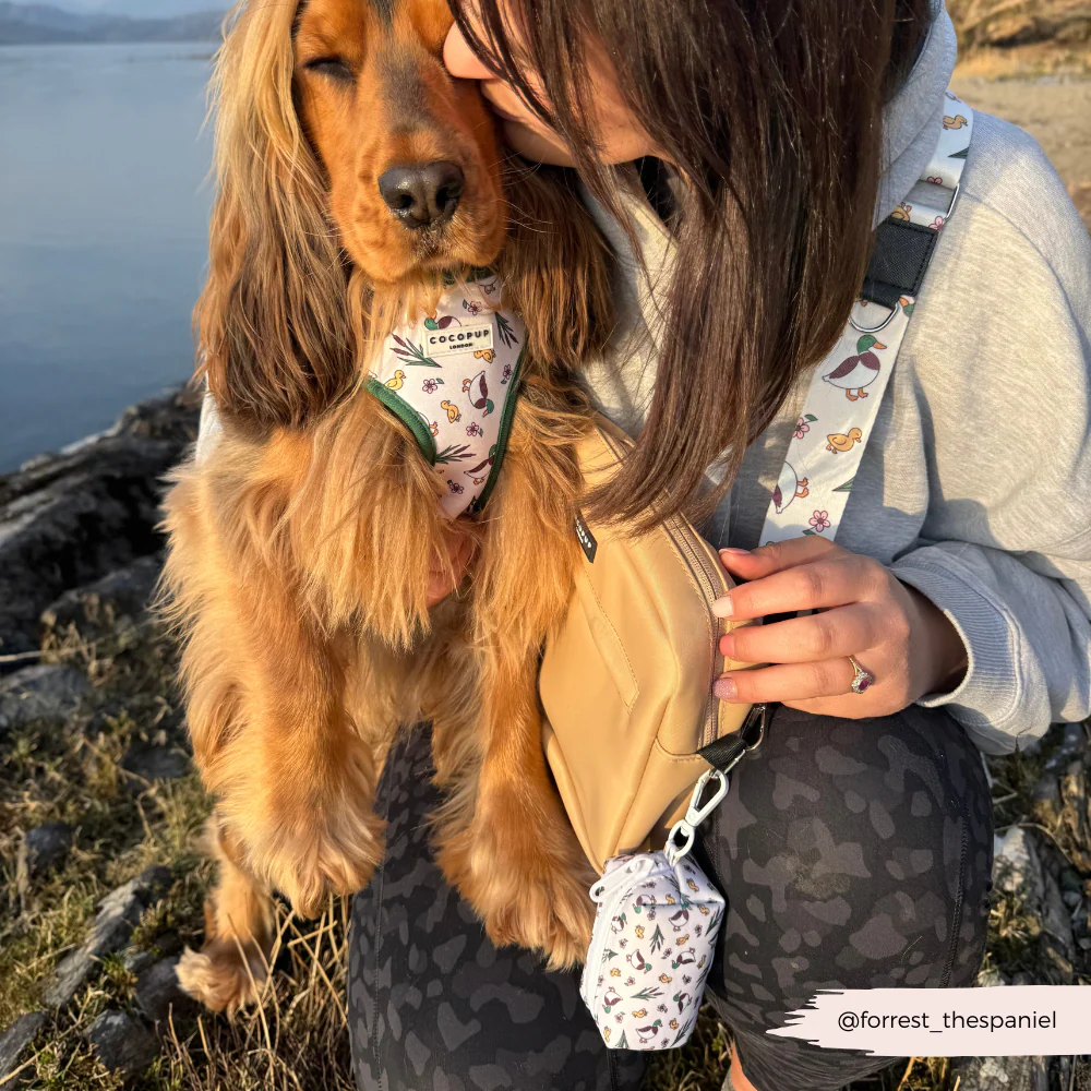 Bag Strap - Puddle Pup - Image 7